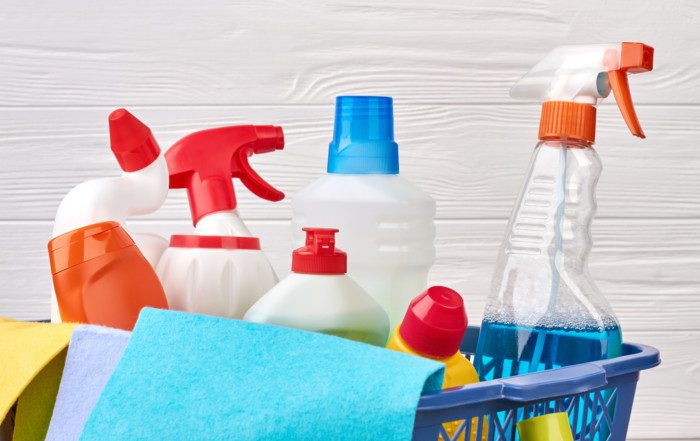 professional maid service