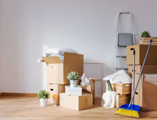 Move-In or Move-Out This Season? Expert Cleaning Services for Lewisville Homes